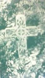 Dir En Grey : Seimei No Tsumi